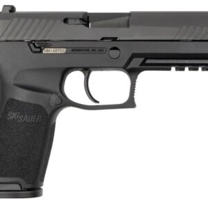 Sig Sauer P320 Full-Size 40 S&W Centerfire Pistol with Contrast Sights