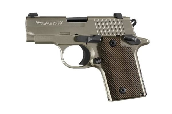 Sig Sauer P238 Nickel 380 ACP Carry Conceal Pistol with Night Sights