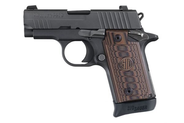 Sig Sauer P238 Select 380 ACP Carry Conceal Pistol