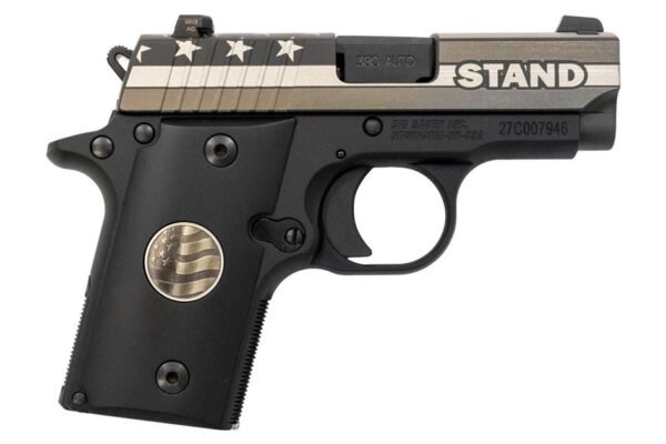 Sig Sauer P238 Stand 380 ACP Carry Conceal Pistol with Night Sights