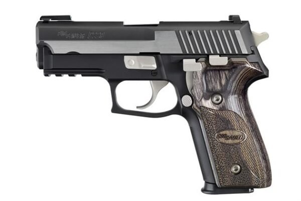 Sig Sauer P229 Equinox 40 S&W Centerfire Pistol with Nickel Accents